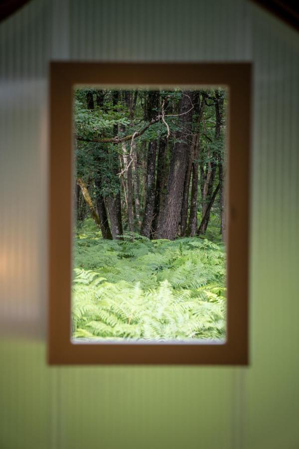 Camping Bois De St Hilaire Chalandray エクステリア 写真