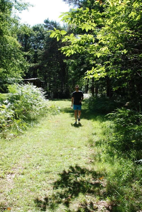 Camping Bois De St Hilaire Chalandray エクステリア 写真
